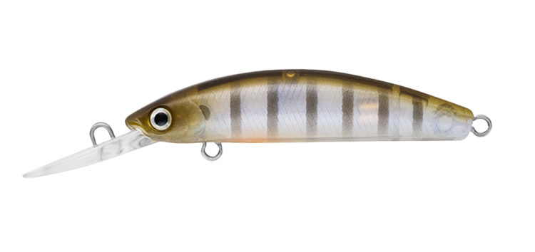 DOUBLE CLUTCH 48SP GHOST PERCH