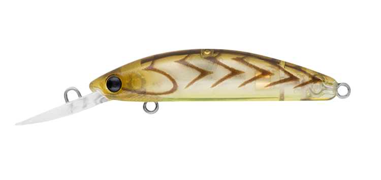 DOUBLE CLUTCH 48SP EBI