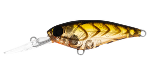 INFEET KODACHI COLA SUJI