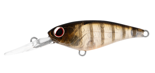 INFEET KODACHI GHOST PERCH