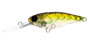 INFEET KODACHI SYDNEY SUJI