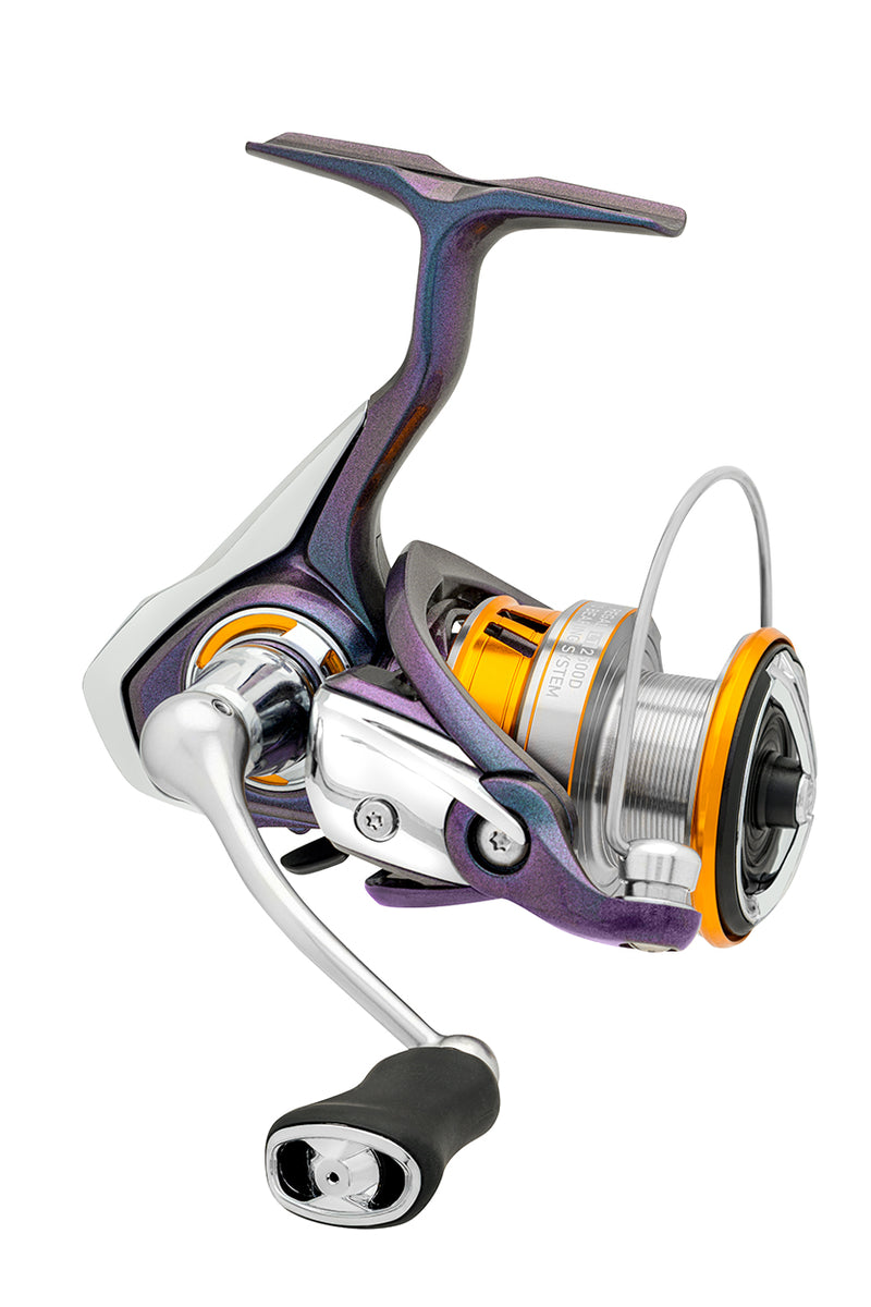 daiwa aird lt 3000c spinning review｜TikTok Search