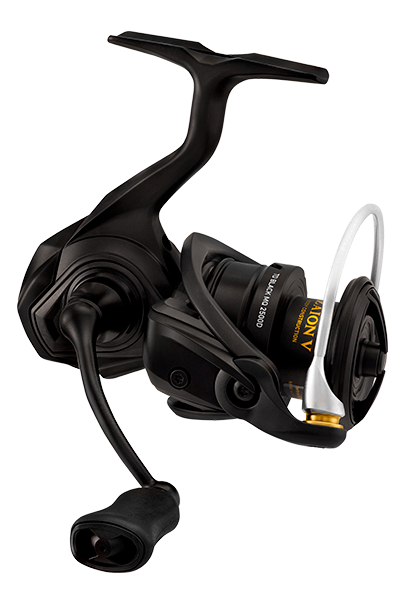 21 TD Black MQ