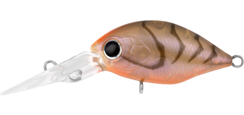 INFEET ROLLING CRANK DR  BROWN SUJI UV
