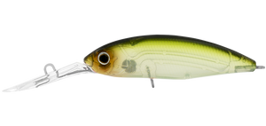 INFEET SPIKE 53 GHOST AYU