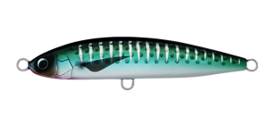 SALTIGA ROUGHRIDE 160F SAURY