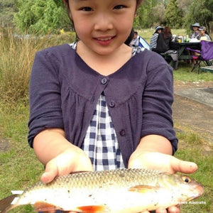 Fan gallery #3730