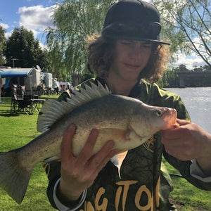 Fan gallery #3439