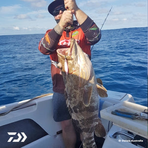 Fan gallery #3583