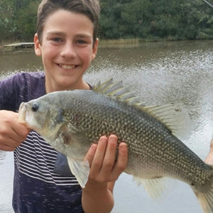 Fan gallery #195