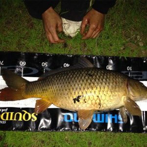 Fan gallery #3687