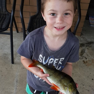 Fan gallery #352