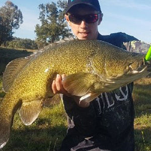 Fan gallery #241