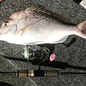 Fan gallery #151