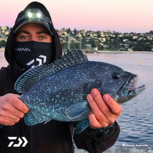 Fan gallery #154