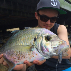Fan gallery #3677