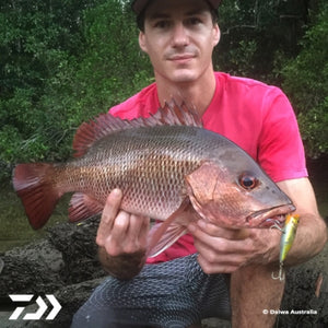 Fan gallery #3367