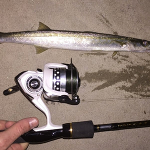 Fan gallery #3624