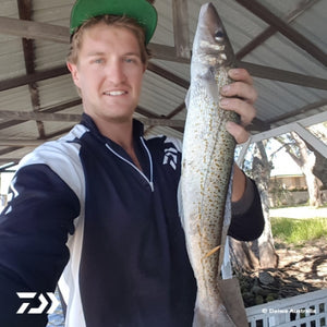 Fan gallery #3529