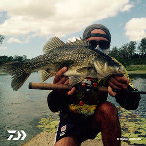 Fan gallery #3437