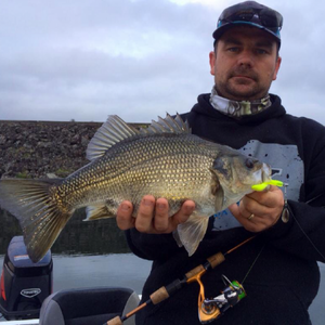 Fan gallery #3645