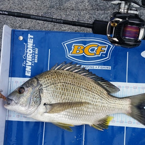 Fan gallery #3514