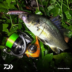 Fan gallery #3528