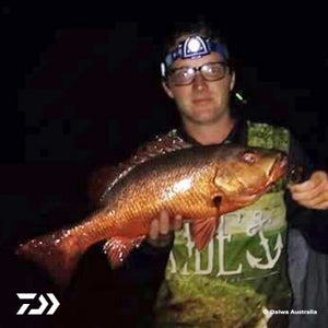 Fan gallery #230
