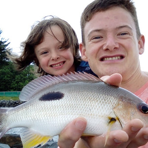 Fan gallery #389