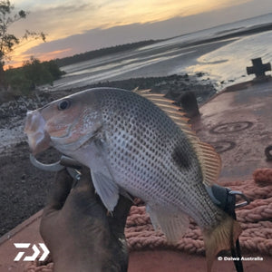 Fan gallery #3608