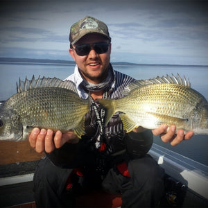 Fan gallery #3667