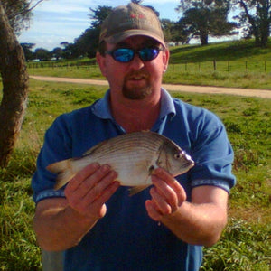 Fan gallery #3669