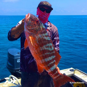 Fan gallery #3466