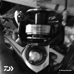 Fan gallery #3446