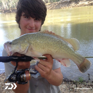 Fan gallery #326