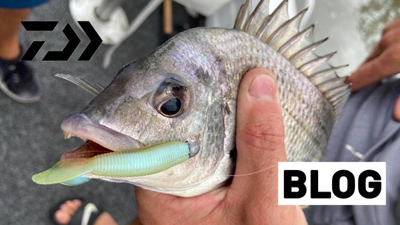 How to Catch Bream on Bait Junkies