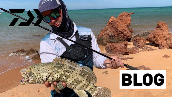 Product Review- Bait Junkie 5" and 7" Jerk Shad