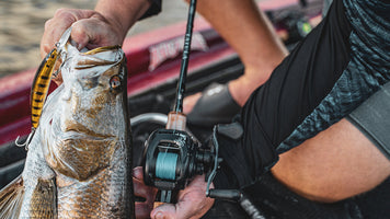 A Beginners Guide to Barra Tackle