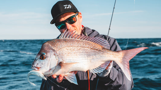 How to Catch Snapper on Bait Junkie Soft Plastics