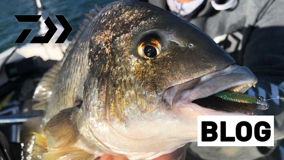 How to Catch Bream on Deep Plastics