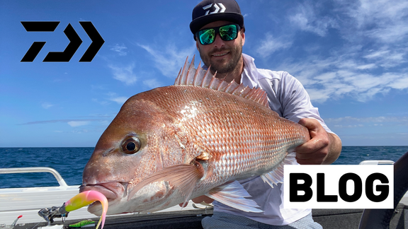 How To Catch Shallow Water Snapper