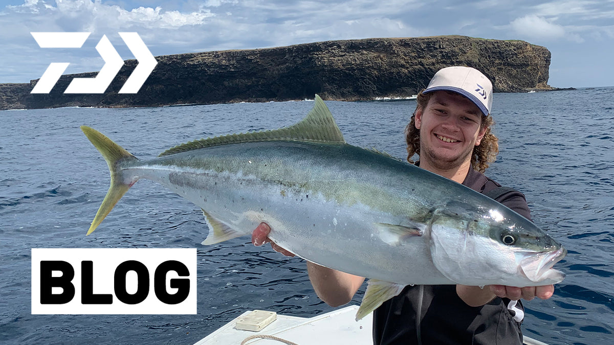 How to Catch Kingfish on Livebaits – Daiwa Australia