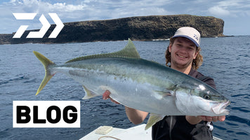 How to Catch Kingfish on Livebaits