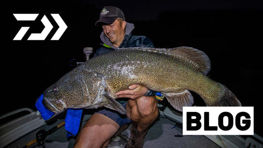How to Catch Impoundment Cod: A Complete Guide