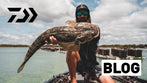 How to Catch Flathead on Swimbaits and Big Lures