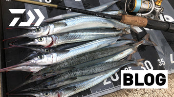How to Catch Garfish: A Complete Guide