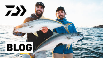 How to Catch Kingfish: a complete guide