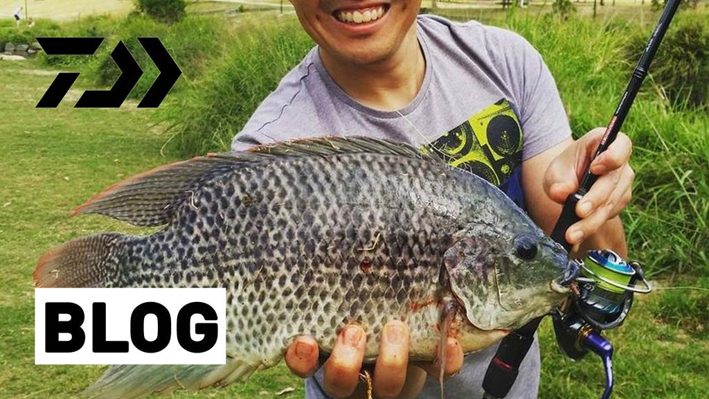 Daiwa Reels (Freshwater) - Big Catch Fishing Tackle