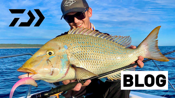How to Catch Spangled Emperor – Daiwa Australia
