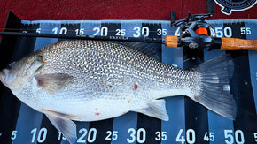 Choosing the Right Line for Bass Fishing: My Go-To Daiwa Lines